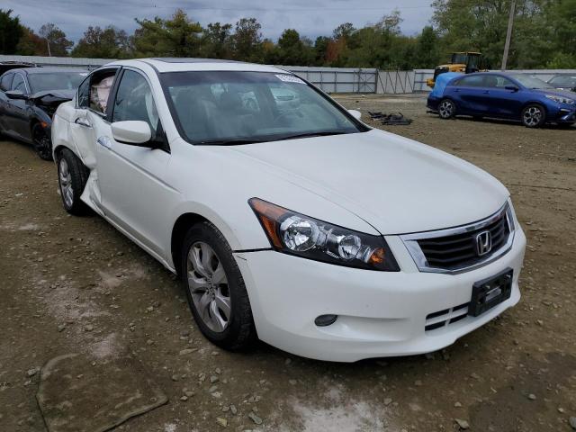 HONDA ACCORD EXL 2010 5kbcp3f81ab019037