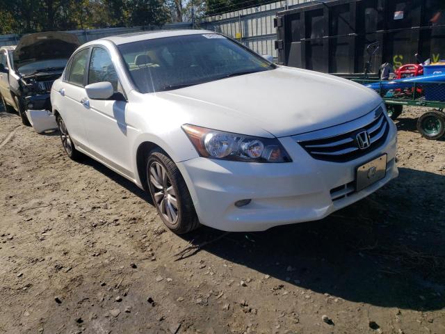 HONDA ACCORD EXL 2011 5kbcp3f81bb004006