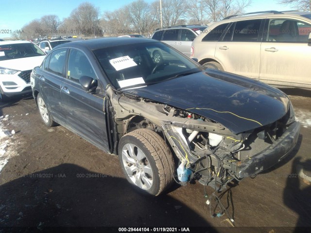 HONDA ACCORD SDN 2010 5kbcp3f82ab002263