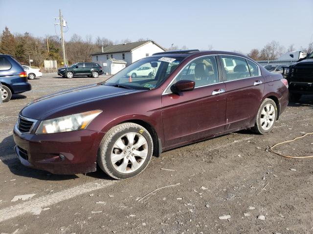 HONDA ACCORD EXL 2010 5kbcp3f82ab004143