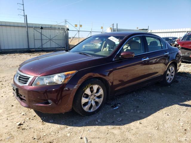 HONDA ACCORD 2010 5kbcp3f82ab004207