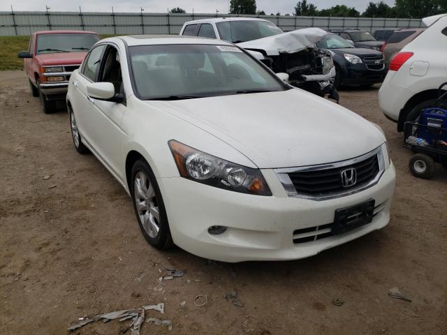 HONDA ACCORD EXL 2010 5kbcp3f82ab005065