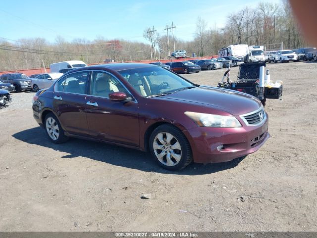 HONDA ACCORD 2010 5kbcp3f82ab005079