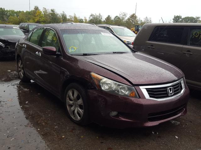 HONDA ACCORD EXL 2010 5kbcp3f82ab010766