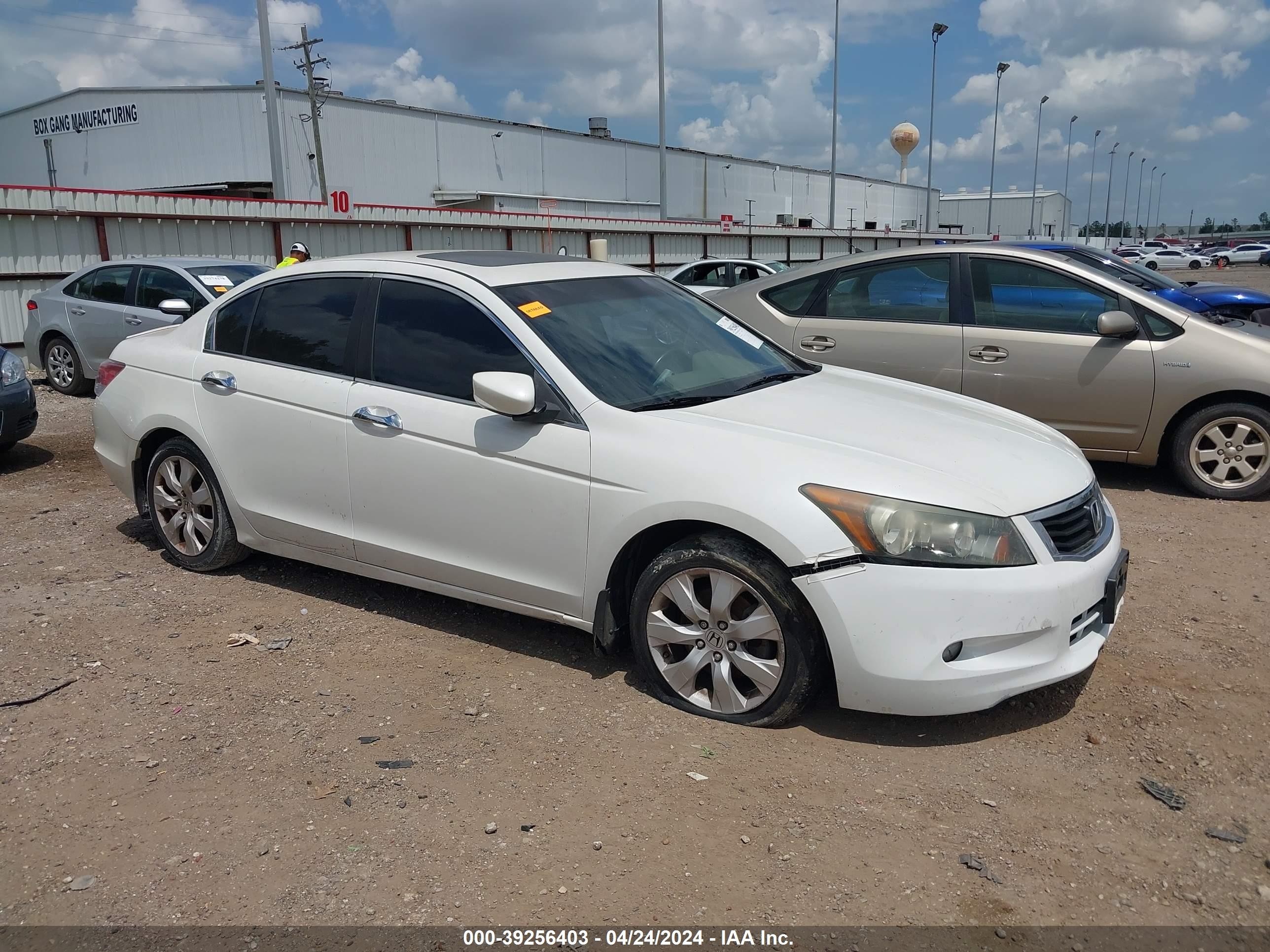 HONDA ACCORD 2010 5kbcp3f82ab012484