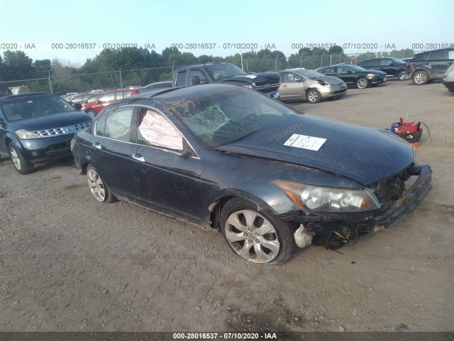 HONDA ACCORD SDN 2010 5kbcp3f82ab012985