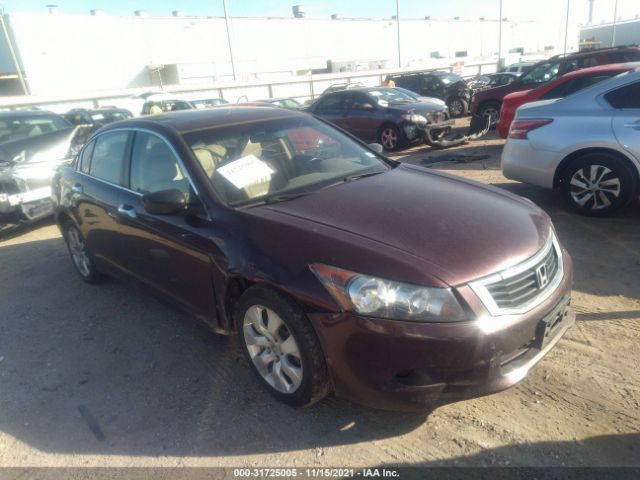 HONDA ACCORD SDN 2010 5kbcp3f82ab013327