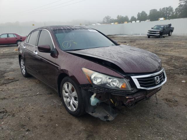 HONDA ACCORD EXL 2010 5kbcp3f82ab013344