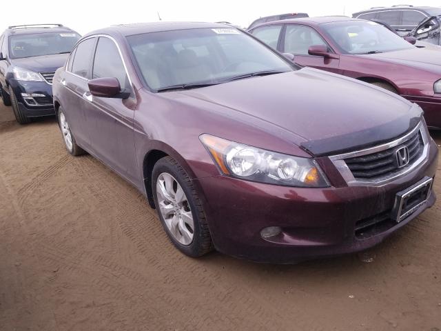 HONDA ACCORD EXL 2010 5kbcp3f82ab013408