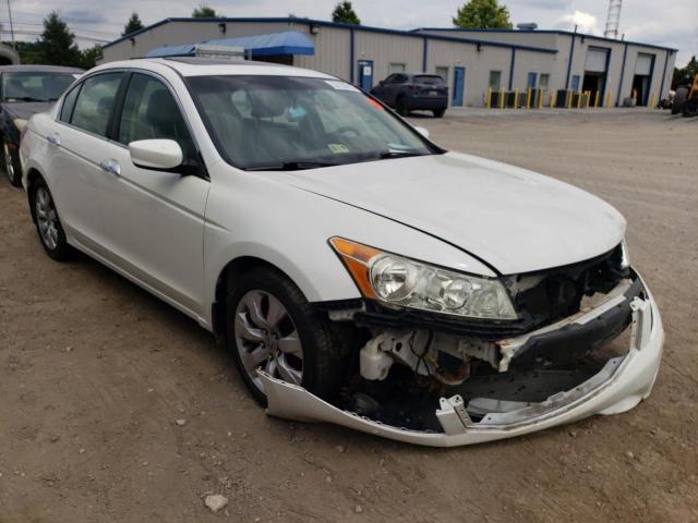 HONDA ACCORD EXL 2010 5kbcp3f82ab013649