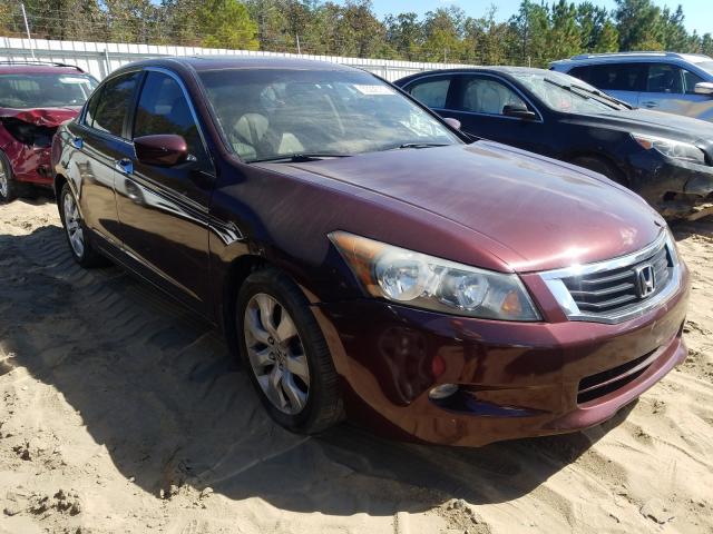 HONDA ACCORD EXL 2010 5kbcp3f82ab014042