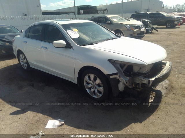 HONDA ACCORD SDN 2010 5kbcp3f82ab018589