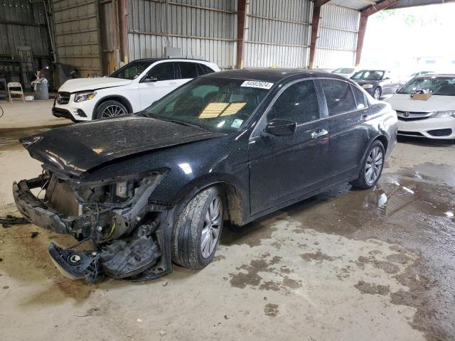 HONDA ACCORD 2011 5kbcp3f82bb002135