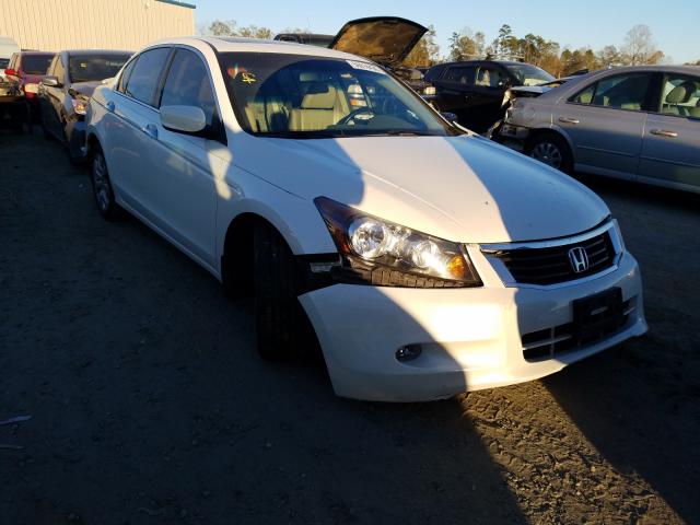 HONDA ACCORD EXL 2010 5kbcp3f83ab001395