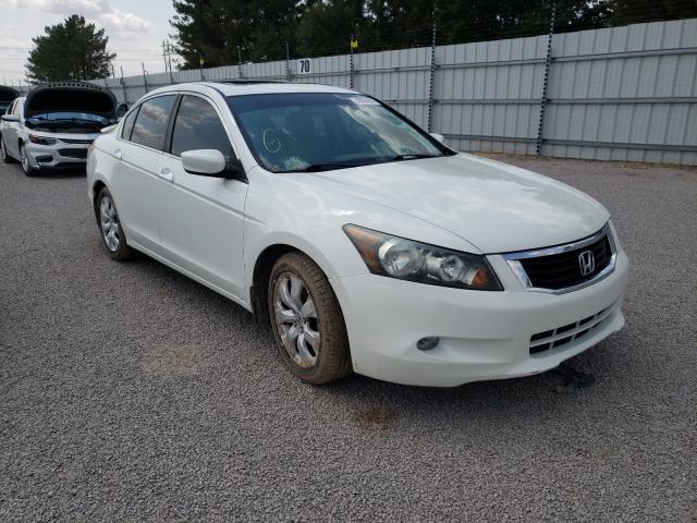 HONDA ACCORD EXL 2010 5kbcp3f83ab004264