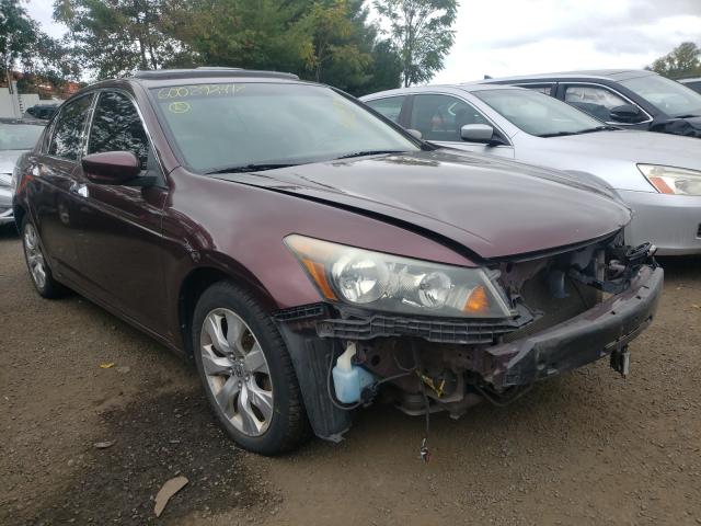 HONDA ACCORD EXL 2010 5kbcp3f83ab005124