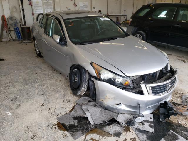 HONDA ACCORD EXL 2010 5kbcp3f83ab005494