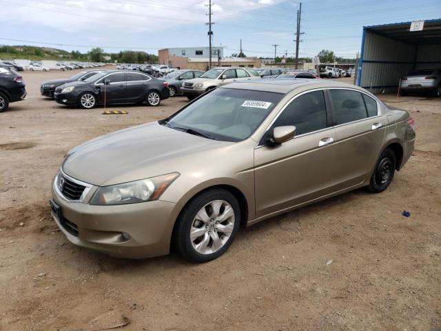 HONDA ACCORD 2010 5kbcp3f83ab005530