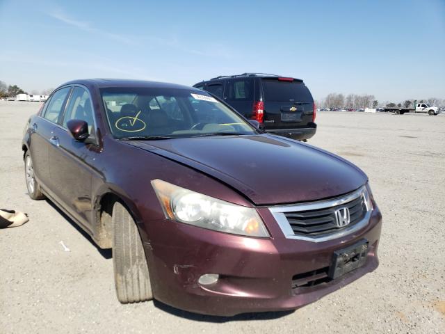 HONDA ACCORD EXL 2010 5kbcp3f83ab009027