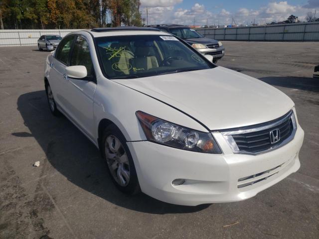 HONDA ACCORD EXL 2010 5kbcp3f83ab009240