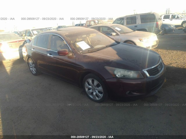 HONDA ACCORD SDN 2010 5kbcp3f83ab009495