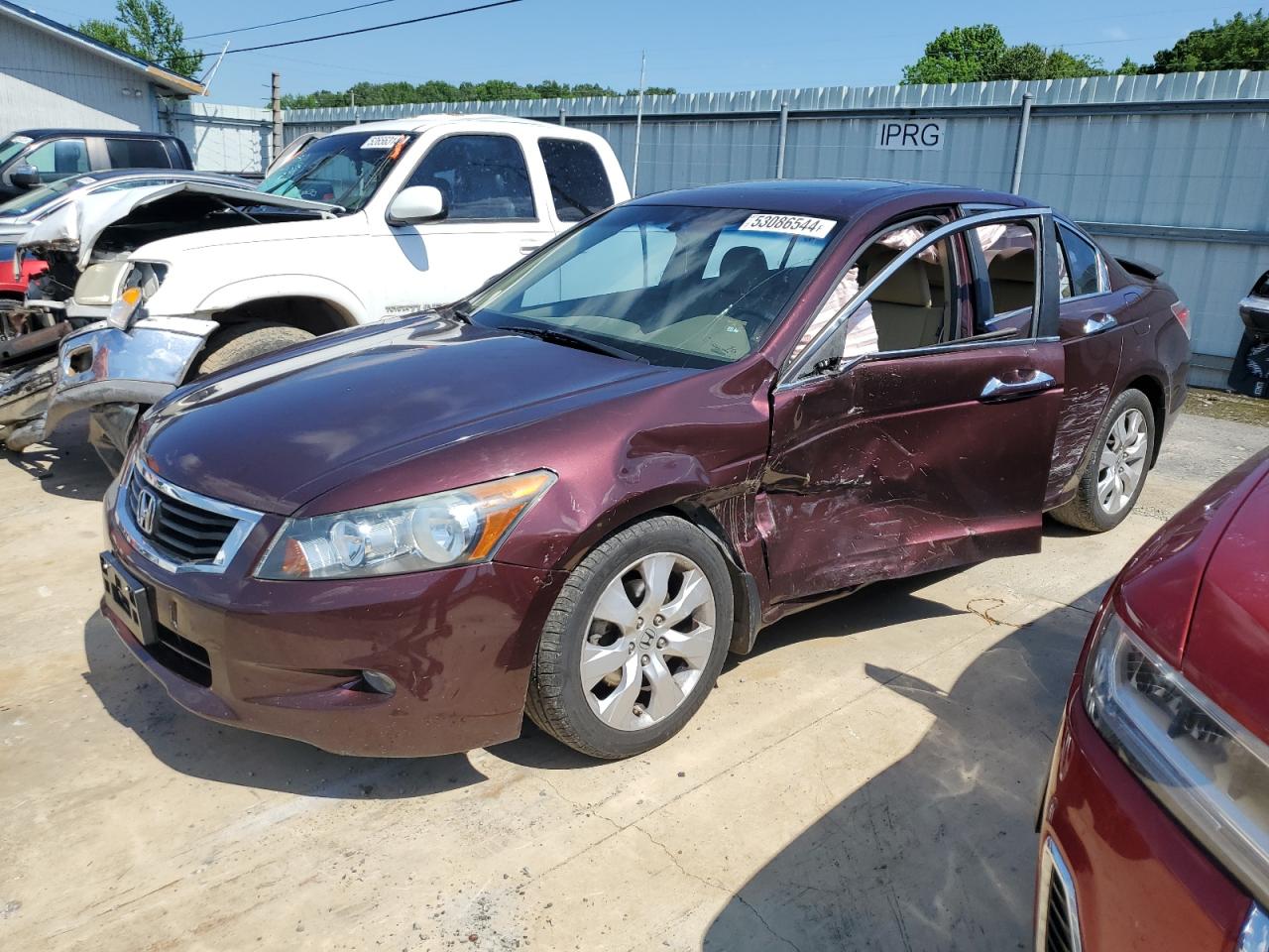 HONDA ACCORD 2010 5kbcp3f83ab013241