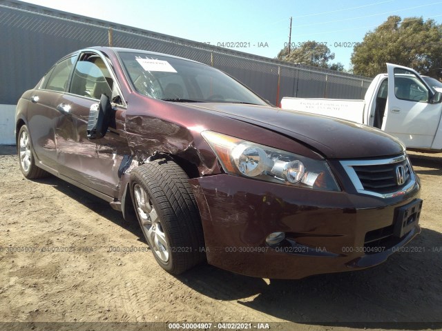 HONDA ACCORD SDN 2010 5kbcp3f83ab013269