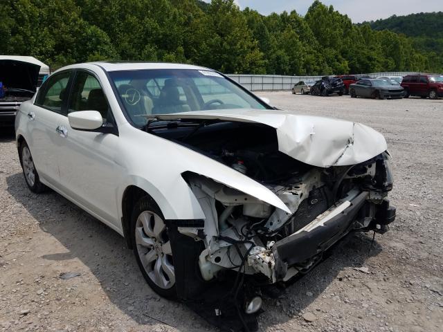 HONDA ACCORD EXL 2010 5kbcp3f83ab015233