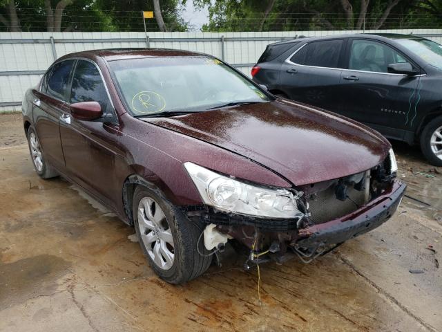 HONDA ACCORD EXL 2010 5kbcp3f83ab017418