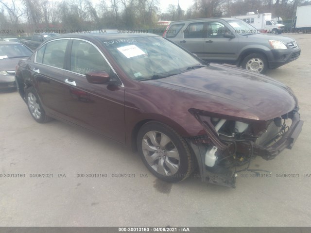 HONDA ACCORD SDN 2010 5kbcp3f83ab018682