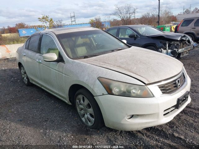 HONDA ACCORD 2010 5kbcp3f83ab018956