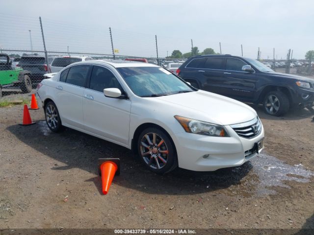 HONDA ACCORD 2011 5kbcp3f83bb001396