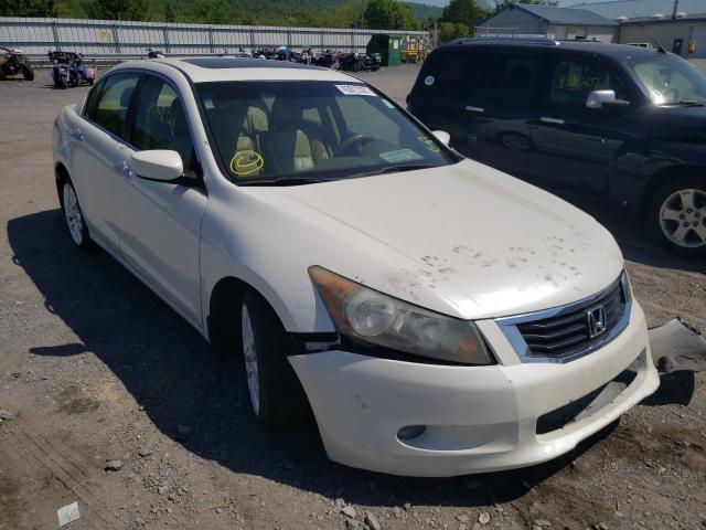 HONDA ACCORD EXL 2010 5kbcp3f84ab001390