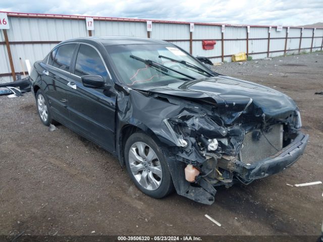 HONDA ACCORD 2010 5kbcp3f84ab005424