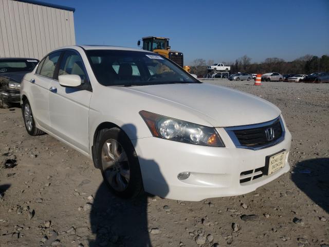 HONDA ACCORD EXL 2010 5kbcp3f84ab005570