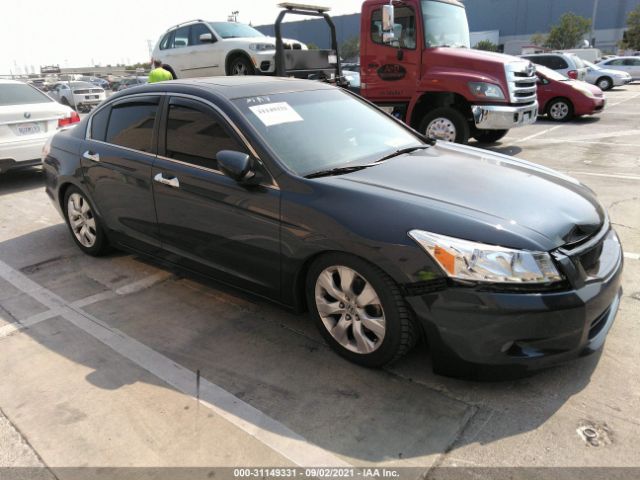 HONDA ACCORD SDN 2010 5kbcp3f84ab006783