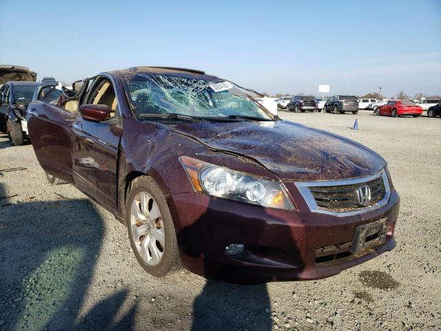 HONDA ACCORD EXL 2010 5kbcp3f84ab007447