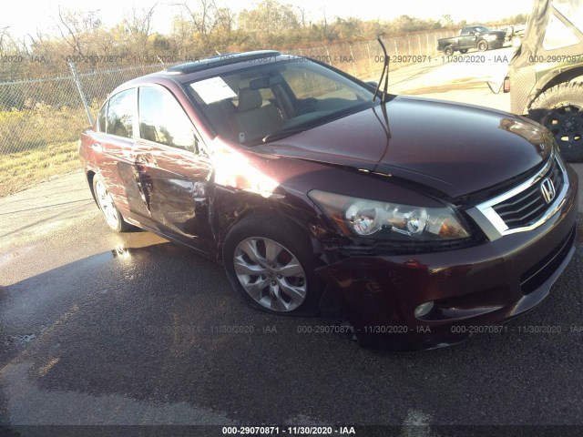 HONDA ACCORD SDN 2010 5kbcp3f84ab007870