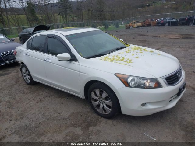 HONDA ACCORD 2010 5kbcp3f84ab012888