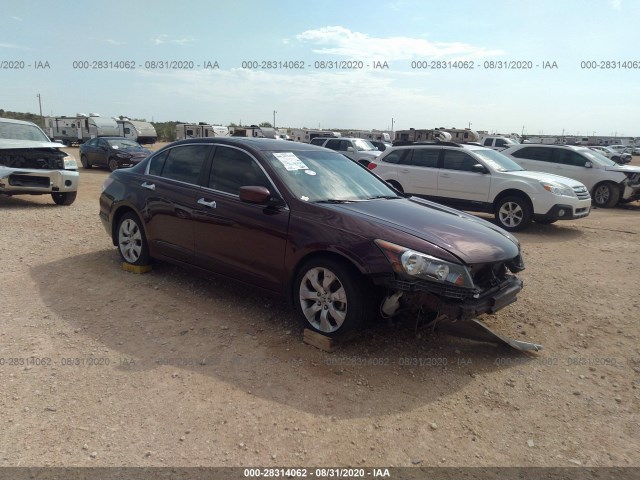 HONDA ACCORD SDN 2010 5kbcp3f84ab014057