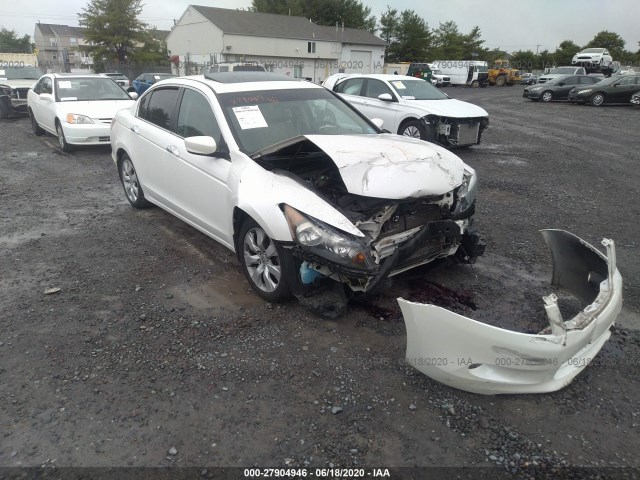 HONDA ACCORD SDN 2010 5kbcp3f84ab014303