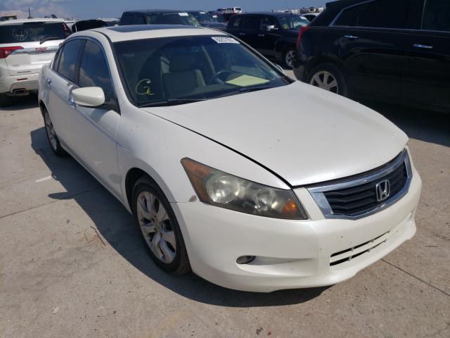 HONDA ACCORD EXL 2010 5kbcp3f84ab014589