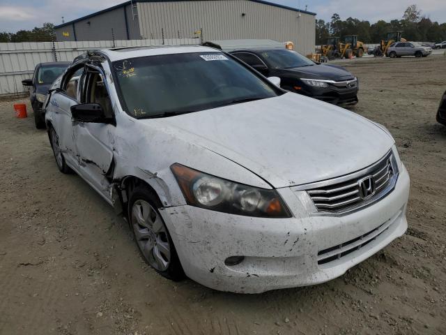 HONDA ACCORD EXL 2010 5kbcp3f84ab014849