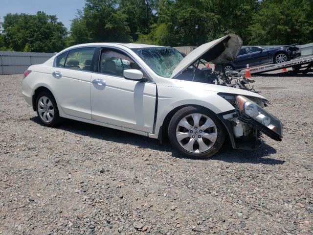 HONDA ACCORD EXL 2010 5kbcp3f84ab016858