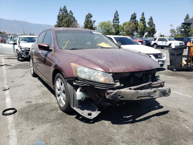 HONDA ACCORD EXL 2010 5kbcp3f84ab018755