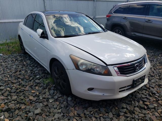 HONDA ACCORD EXL 2010 5kbcp3f84ab018898