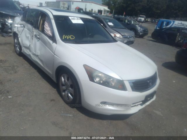 HONDA ACCORD SDN 2010 5kbcp3f85ab005755