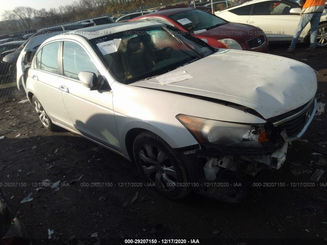 HONDA ACCORD SDN 2010 5kbcp3f85ab006078