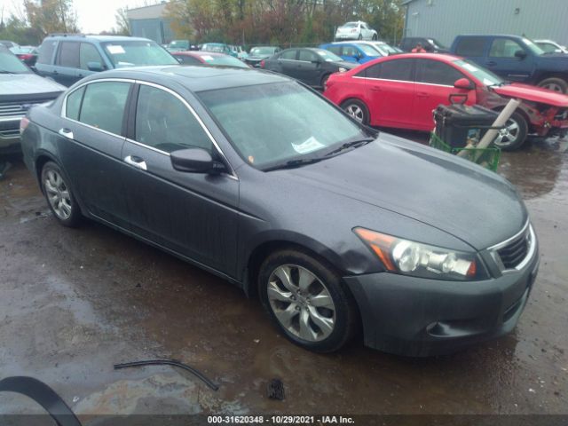 HONDA ACCORD SDN 2010 5kbcp3f85ab006338