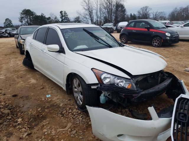 HONDA ACCORD EXL 2010 5kbcp3f85ab006565